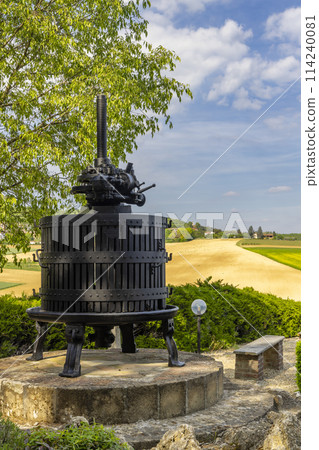 Typical vineyard near Castello di Razzano and Alfiano Natta, Barolo wine region, province of Cuneo, region of Piedmont, Italy Typical vineyard near Castello di Razzano and Alfiano Natta, Barolo wine region, province of Cuneo, region of Piedmont, Italy 114240081