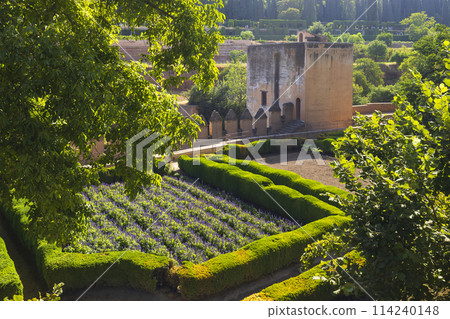 Alhambra, Generalife and Albayzin (Generalife y Albaicin de Granada), UNESCO site, Granada, Andalusia, Spain 114240148
