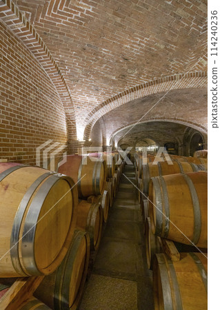Wine cellar in Canale, Piedmont, Italy Wine cellar in Canale, Piedmont, Italy 114240236