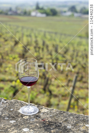 Glass of pinot noir red wine in early spring vineyards near Aloxe-Corton, Burgundy, France Glass of pinot noir red wine in early spring vineyards near Aloxe-Corton, Burgundy, France 114240238