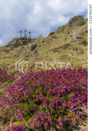 Krizky National Natural Monument, Western Bohemia, Czech Republic 114240297
