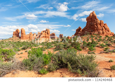 Stunning Rock Formations in Arches National Park Stunning Rock Formations in Arches National Park 114240468