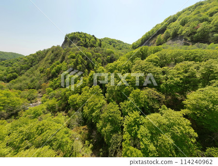 國道398號線湯濱峠鮮綠的鳥瞰圖 國道398號線湯濱峠鮮綠的鳥瞰圖 114240962