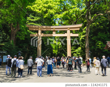 明治神宮春天，東京 114241171