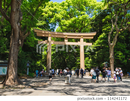 明治神宮春天,東京 明治神宮春天,東京 114241172