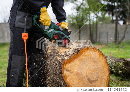 A man in uniform cuts an old tree in the yard with an electric saw 114241212