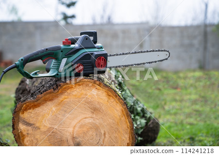 Electric saw on an old tree in the yard. Electric saw on an old tree in the yard. 114241218
