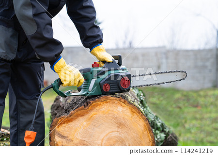 A man in uniform cuts an old tree in the yard with an electric saw 114241219