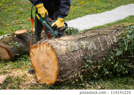 A man in uniform cuts an old tree in the yard with an electric saw 114241220