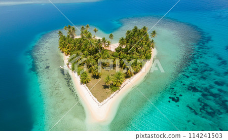 Heart-shaped island and coral reef 114241503