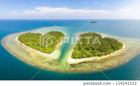 心形島和珊瑚礁 心形島和珊瑚礁 114241522