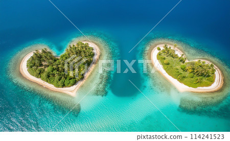 心形島和珊瑚礁 114241523