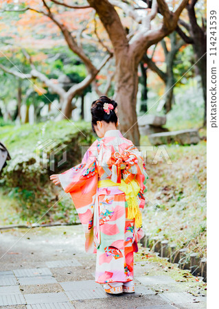 七五三的形象:和服的後視圖 七五三的形象:和服的後視圖 114241539