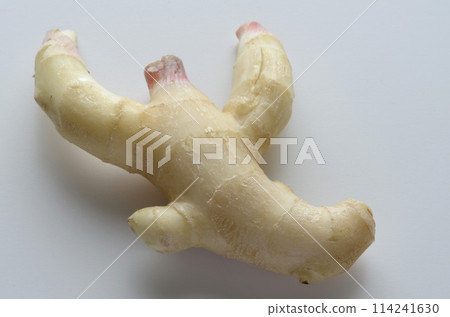 姜 114241630