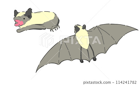 Flying young bat 114241782
