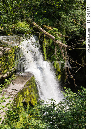 Scyd Clan-Gwyn 瀑布位於南威爾斯 Banne Brycheiniog 國家公園的山區深處 114241854