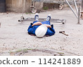 Workplace accident at construction site 114241889