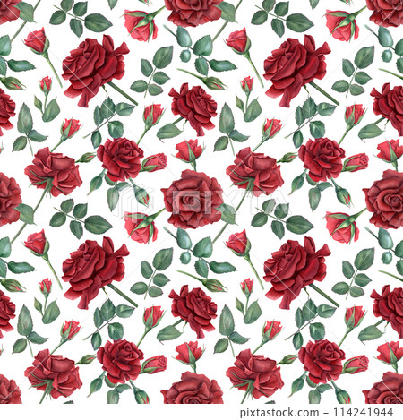 Deep red roses. Ruby flowers and green leaves on stems. Blooming summer garden flowers with buds. Watercolor illustration for wedding design, memorial day, mother day and birthday decor 114241944