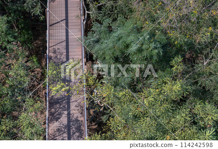 Aerial shot view of a beautiful wooden suspension bridge in the middle of the forest surrounded by lush green forest. Aerial shot view of a beautiful wooden suspension bridge in the middle of the forest surrounded by lush green forest. 114242598
