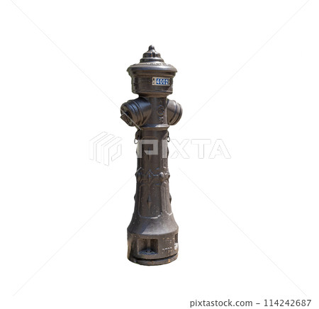 A hydrant. 114242687