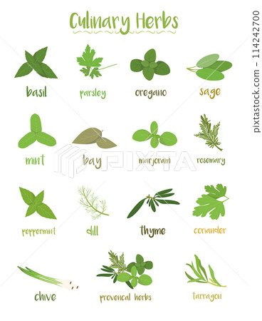 Set of 15 different culinary herbs in cartoon style. 114242700