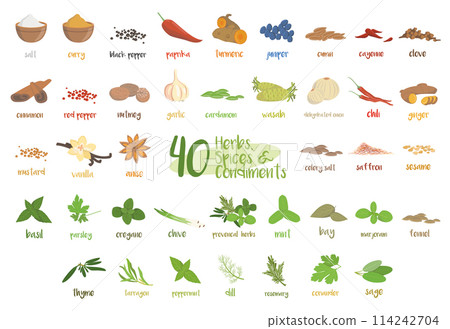 Set of 40 different culinary herbs, species and condiments in cartoon style. Set of 40 different culinary herbs, species and condiments in cartoon style. 114242704