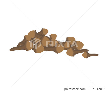 Vector clove illustration isolated in cartoon style. Herbs and Species Series Vector clove illustration isolated in cartoon style. Herbs and Species Series 114242815