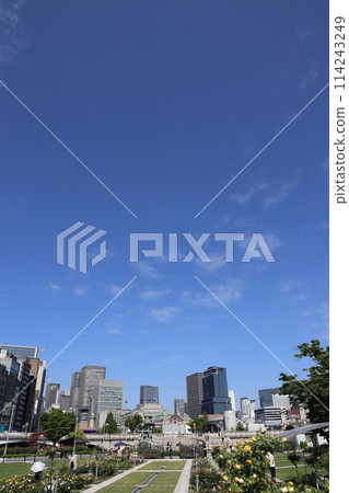 Osaka Nakanoshima Rose Garden 2024 24 114243249