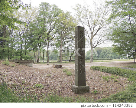 Shimotsuno Kokubunji廢墟 Shimotsuno Kokubunji廢墟 114243392