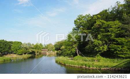 古賀久保公園 御所沼 114243621