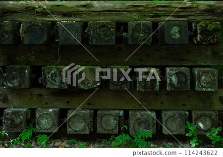 Abandoned sleepers in the Mukogawa Valley 114243622