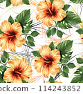 hibuscus flower with geometric lines background seamless pattern 114243852
