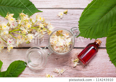 The extract of the flower of chestnut and chestnut flower isolated on a wooden background. Hairloss concept The extract of the flower of chestnut and chestnut flower isolated on a wooden background. Hairloss concept 114243910
