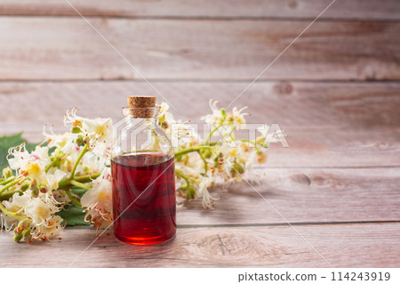 The extract of the flower of chestnut and chestnut flower isolated on a wooden background. Hairloss concept. Close up 114243919
