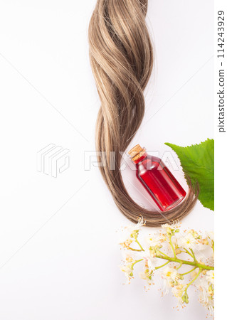 The chestnut flower extract, chestnut flower and hair isolated on a white background. Hairloss concept. Flat lay 114243929