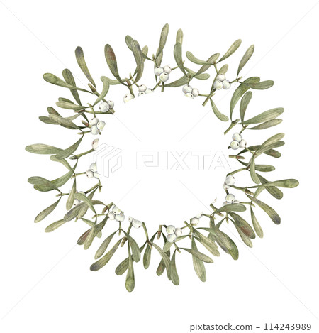 Mistletoe with white berries. Christmas watercolor winter botanical wreath on isolated background. Illustration for greeting cards, holiday banners, wrapping paper, decor, Christmas decorations Mistletoe with white berries. Christmas watercolor winter botanical wreath on isolated background. Illustration for greeting cards, holiday banners, wrapping paper, decor, Christmas decorations 114243989