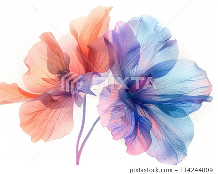 Stock colorful flower watercolor isolated on white background Stock colorful flower watercolor isolated on white background 114244009