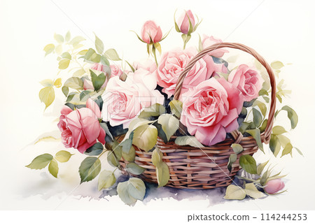 Watercolor of roses flower basket on white background by Generative AI Watercolor of roses flower basket on white background by Generative AI 114244253