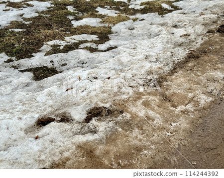 Melting dirty snow on the streets of the city during the daytime in winter. Snow with sand and mud lies on the road. 114244392