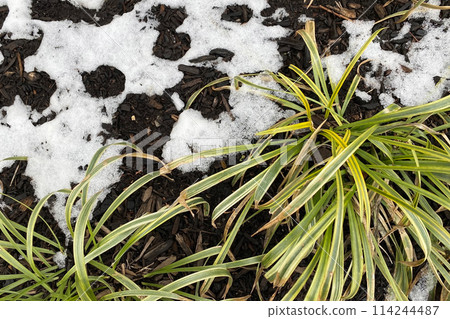 Melting snow on the ground Melting snow on the ground 114244487