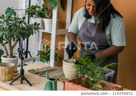 African american girl blogger influencer work on home video camera selfie shoot filming take care home plants and transplanting plant in flowerpot. Home gardening and florist concept. African american girl blogger influencer work on home video camera selfie shoot filming take care home plants and transplanting plant in flowerpot. Home gardening and florist concept. 114244852