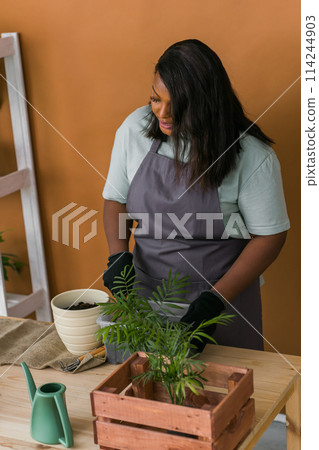 Close up female african american gardener transplanting green plants in ceramic pots on the floor. Concept of home garden and potted plants Close up female african american gardener transplanting green plants in ceramic pots on the floor. Concept of home garden and potted plants 114244903