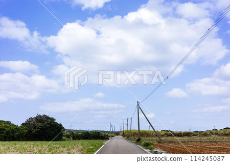 Okinawa's blue sky and roads 114245087