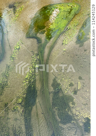 Aerial view of river with green algae on the water surface. Unusual colorful floral texture, river slime background. Aerial view of river with green algae on the water surface. Unusual colorful floral texture, river slime background. 114245129