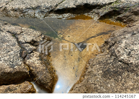 Unusual texture of stone sea shore 114245167