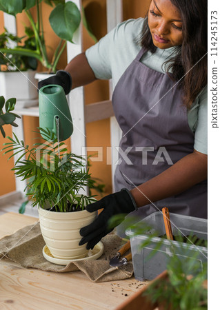 Spring hobby diversity african american woman watering plant flower pot houseplant with dirt or soil at home. Gardening plant and green tropical concept Spring hobby diversity african american woman watering plant flower pot houseplant with dirt or soil at home. Gardening plant and green tropical concept 114245173