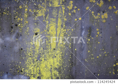 Moss on the cement wall texture and background for design and decoration Moss on the cement wall texture and background for design and decoration 114245424