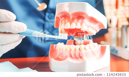 The dentist's hand holds a model of human artificial jaw and explains prevention and treatment of dental caries. Treatment and medical services in a dental clinic, healthcare and dental care 114245633
