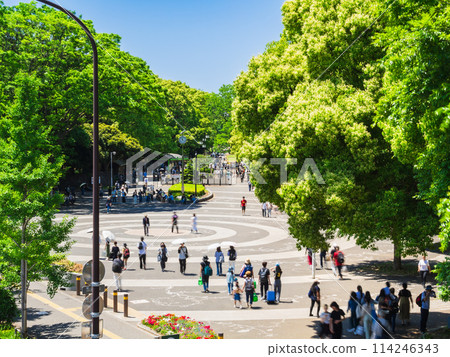 東京黃金周代代木公園 114246343