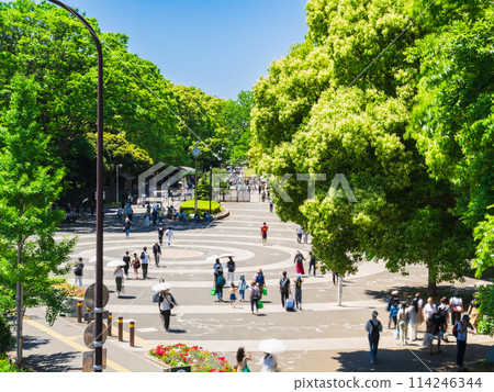 東京黃金周代代木公園 114246344